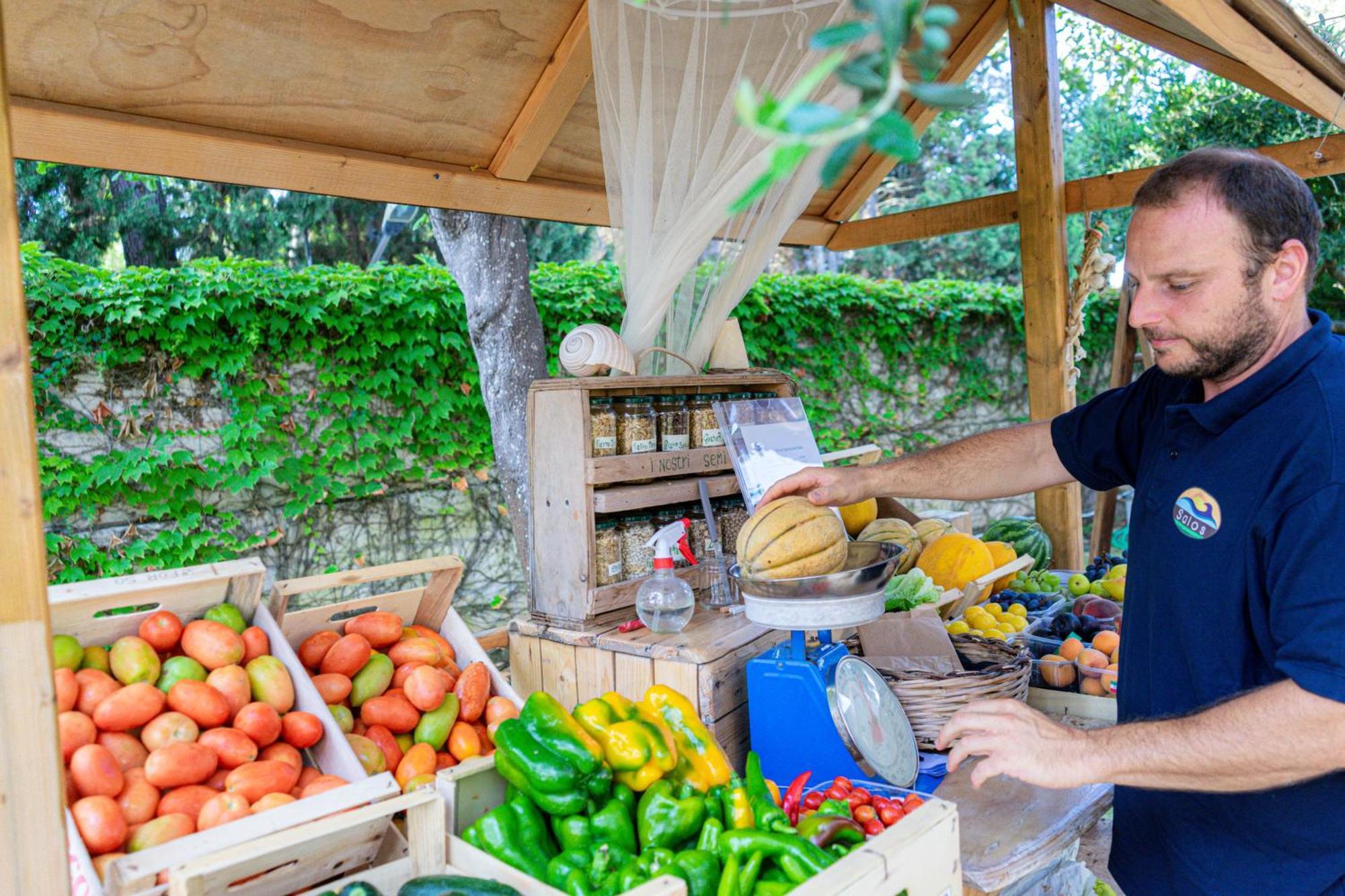 Bio Agriturismo Salos أليميني المظهر الخارجي الصورة
