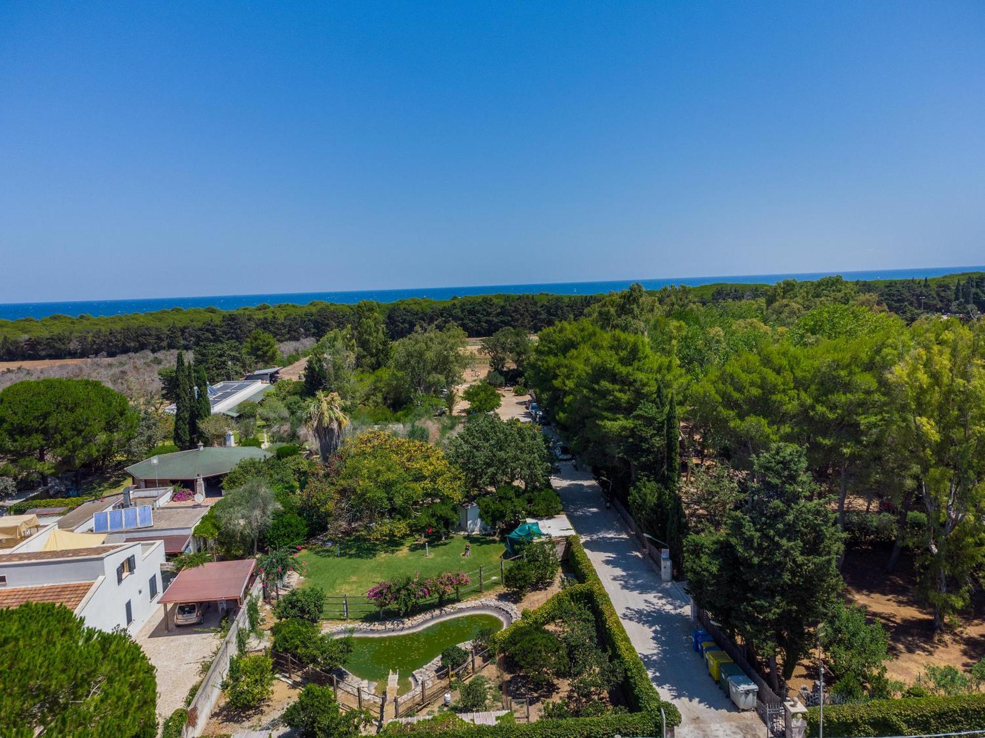 Bio Agriturismo Salos أليميني المظهر الخارجي الصورة