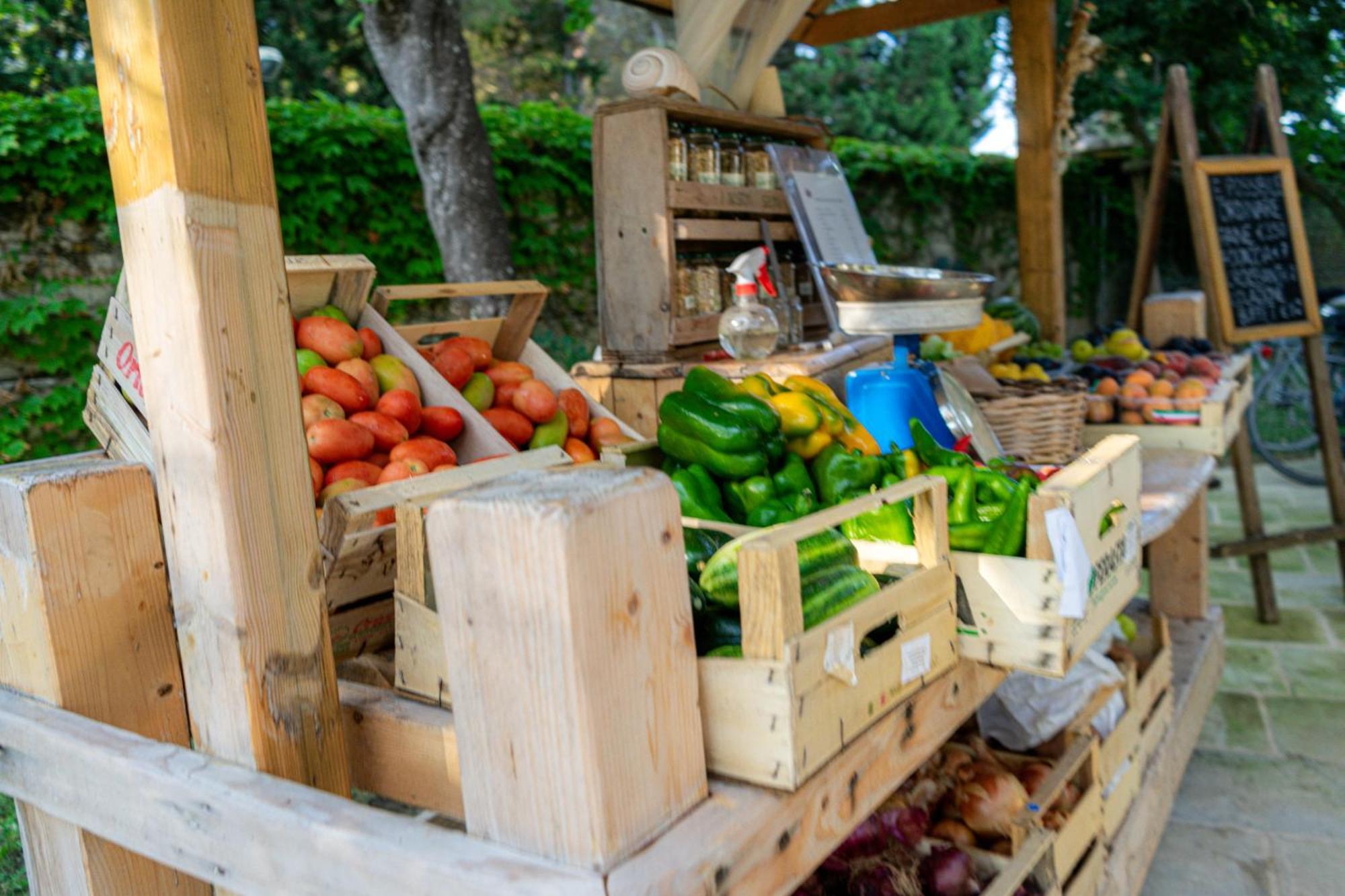 Bio Agriturismo Salos أليميني المظهر الخارجي الصورة