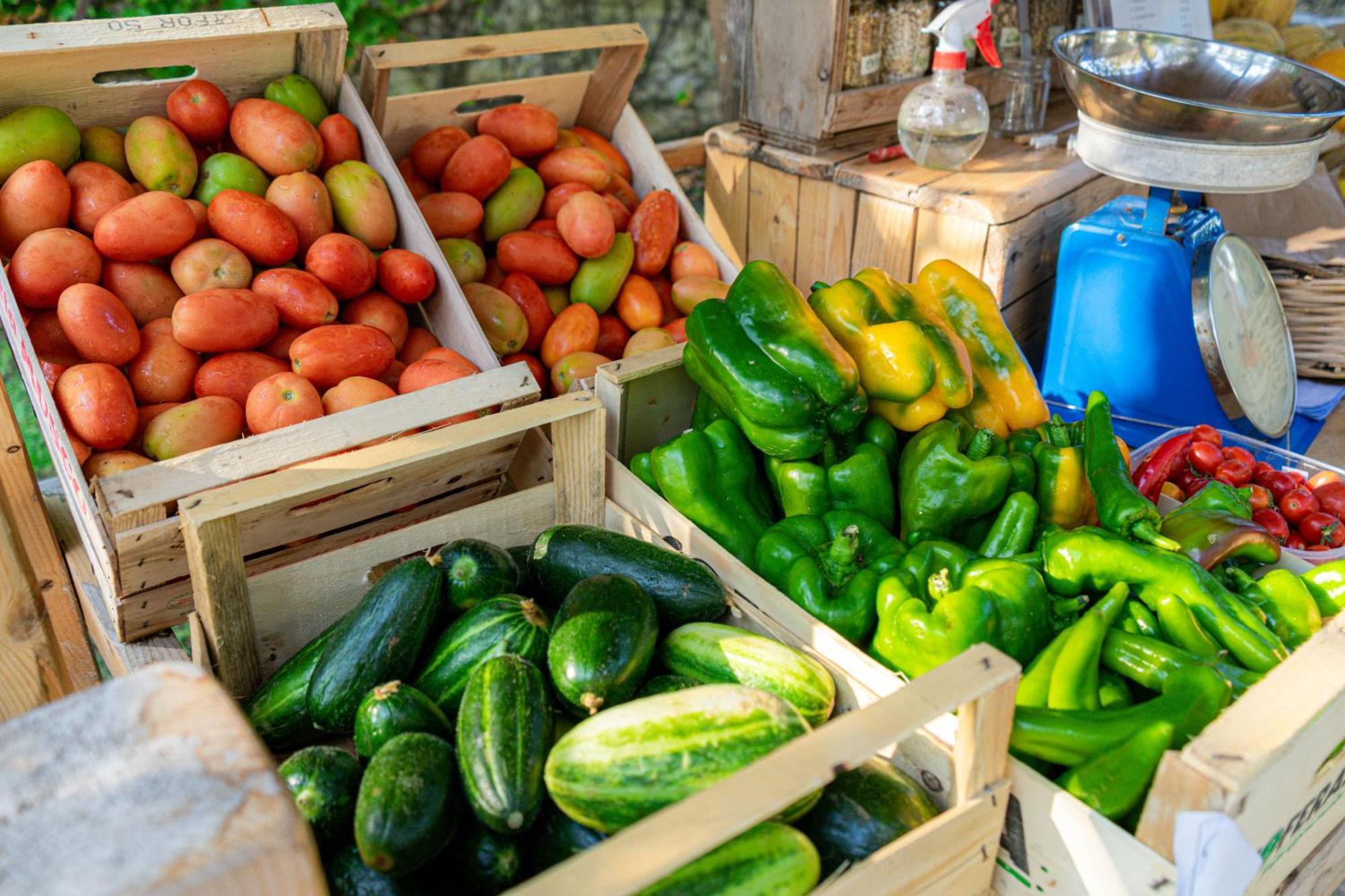 Bio Agriturismo Salos أليميني المظهر الخارجي الصورة