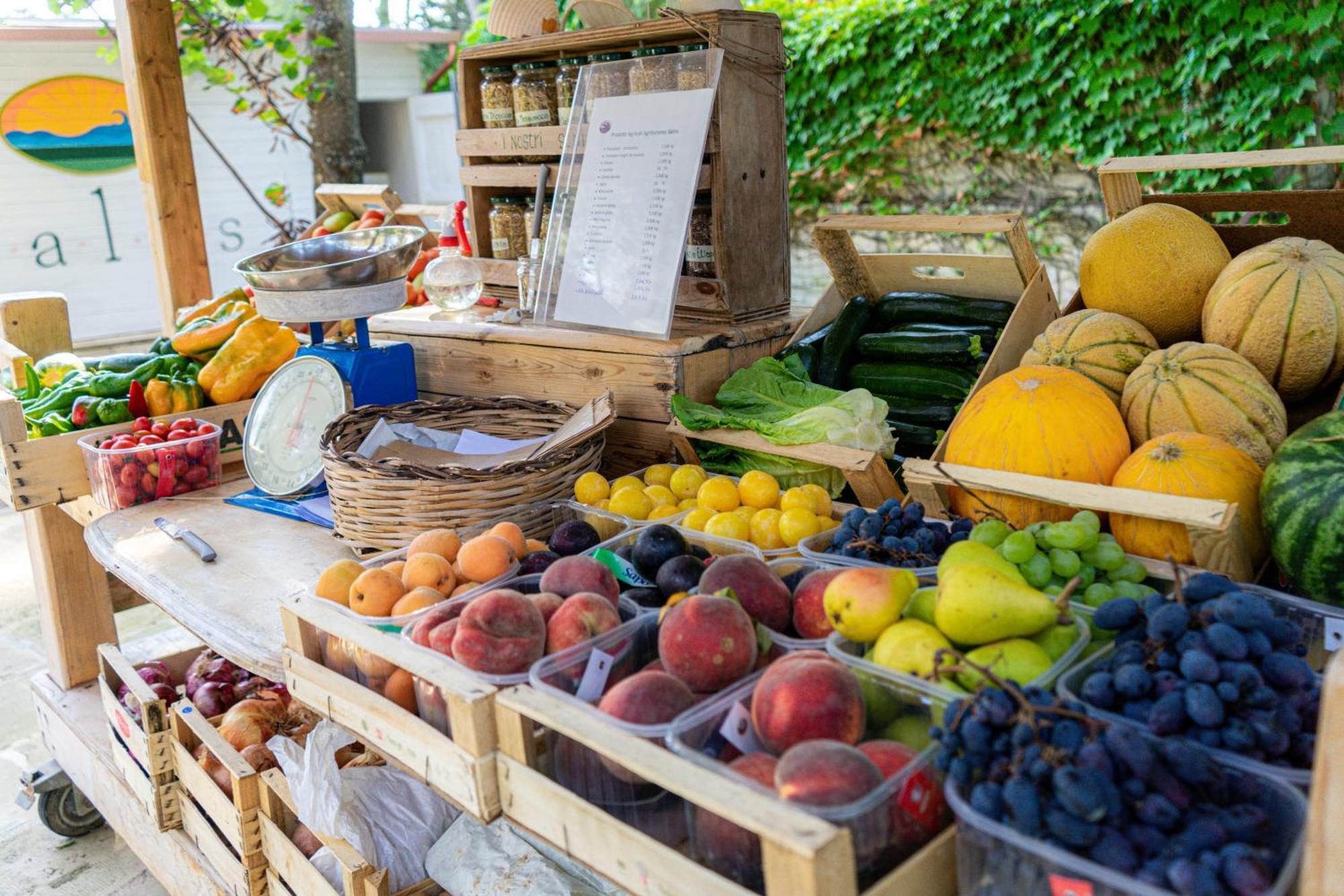 Bio Agriturismo Salos أليميني المظهر الخارجي الصورة